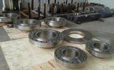 Hastelloy C-276 weld neck flanges