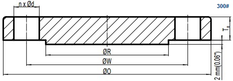 Drawing of ASME B16.5 Class 300 blind flange, raised face(RF).