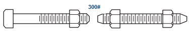 Stud bolt with nuts & machine bolt with nuts for ASME B16.5 Class 300 flanges.