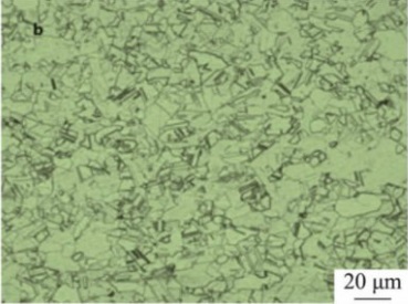 Microstructure of Inconel 600 specimen after solution treated at 1000°C.