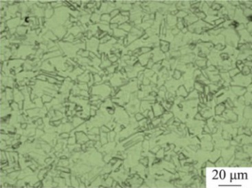 Microstructure of Inconel 600 specimen after solution treated at 1050°C.