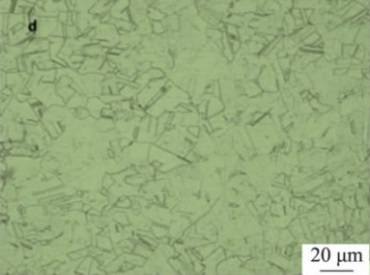 Microstructure of Inconel 600 specimen after solution treated at 1100°C.