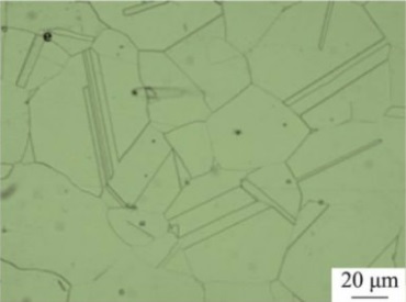 Microstructure of Inconel 600 specimen after solution treated at 1150°C.