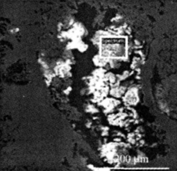 The SEM scanned photo of Incoloy 825 corrosion products.