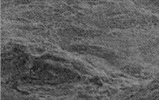 Microstructure of fracture surface of Monel 400 at 600°C by SEM.