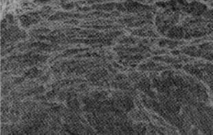 Microstructure of fracture surface of Monel 400 at 700°C by SEM.