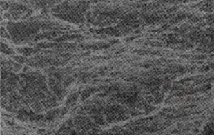 Microstructure of fracture surface of Monel 400 at 800°C by SEM.