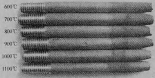 Macrostructure of Monel 400 after fracture at elevated temperatures