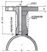 Flanged Weld Outlet