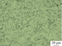 inconel-600-microstructure-after-solution-at-1050