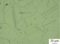 inconel-600-microstructure-after-solution-at-1150