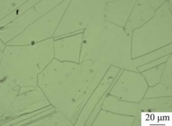 inconel-600-microstructure-after-solution-at-1200