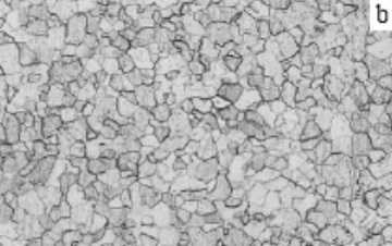 Microstructure of Ti Gr.2 after 600°C annealing