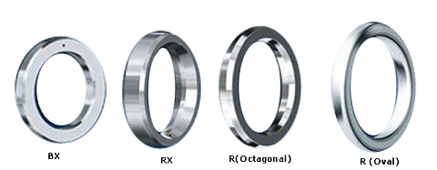 Ring joint gasket