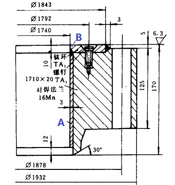 CS flange with titanium lining